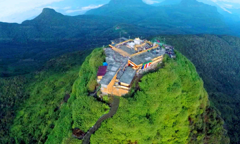 சிவனொளிபாதமலை யாத்திரை காலத்தில் 322 பேர் கைது
