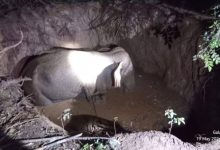 வவுனியாவில் கிணற்றில் விழுந்த காட்டு யானை: மீட்பு நடவடிக்கை தீவிரம்