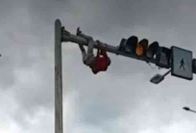 போக்குவரத்து சிக்னலில் ஊஞ்சலாடியவருக்கு நடந்த சம்பவம்