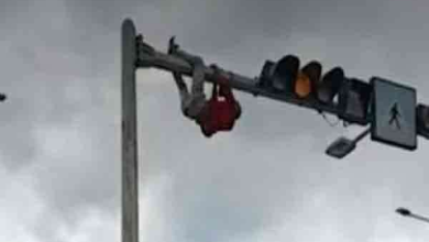 போக்குவரத்து சிக்னலில் ஊஞ்சலாடியவருக்கு நடந்த சம்பவம்