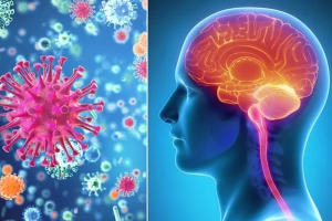 நாட்டில் 203 பேருக்கு மூளைக்காய்ச்சல் தொற்று – சுகாதார அமைச்சு தகவல்