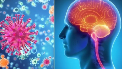 நாட்டில் 203 பேருக்கு மூளைக்காய்ச்சல் தொற்று – சுகாதார அமைச்சு தகவல்