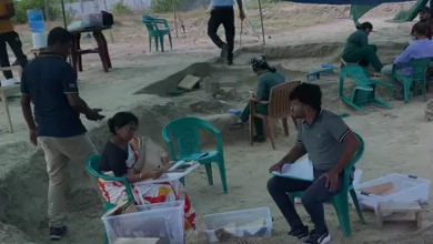 செம்மணி மனித புதைகுழியில் மேலும் 12 எலும்புக்கூடுகள் கண்டுபிடிப்பு