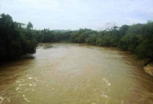 நாட்டின் பல பகுதிகளில் தொடரும் சீரற்ற வானிலை – பலத்த மழை மற்றும் காற்று குறித்து எச்சரிக்கை