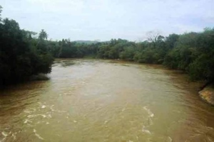 நாட்டின் பல பகுதிகளில் தொடரும் சீரற்ற வானிலை – பலத்த மழை மற்றும் காற்று குறித்து எச்சரிக்கை
