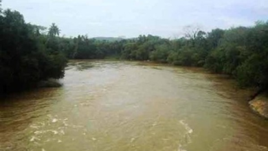 நாட்டின் பல பகுதிகளில் தொடரும் சீரற்ற வானிலை – பலத்த மழை மற்றும் காற்று குறித்து எச்சரிக்கை