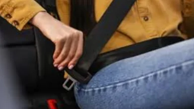 New seat belt rule for passengers on Sri Lanka expressways