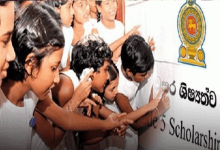 தரம் 5 புலமைப்பரிசில் பரீட்சை பெறுபேறுகள்