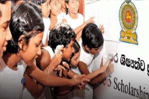 தரம் 5 புலமைப்பரிசில் பரீட்சை பெறுபேறுகள் வெளியீடு